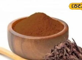 अमृत से कम नहीं इस पेड़ की छाल, पेट और आंतों के सूजन में देती है राहत, शरीर में भर देती है ताकत