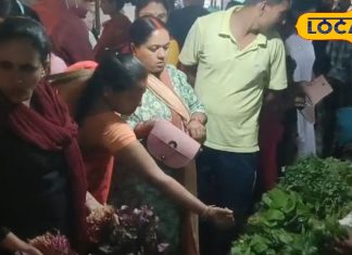 दवाइयों का बाप है ये सब्जी,साल में मिलती है सिर्फ 3 महीने, जानें फायदे