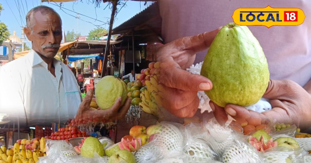 सर्दियों में कुछ दिन मिलता है ये इलाहाबादी फल, नजर पड़ते ही खींचे चले आते हैं लोग, जानें खासियत