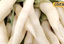 फाइबर, विटामिन और प्रोटीन से भरपूर है ये सफेद फली वाली सब्जी, सर्दियों में खाएंगे तो बीमारियों की हो जाएगी छुट्टी!