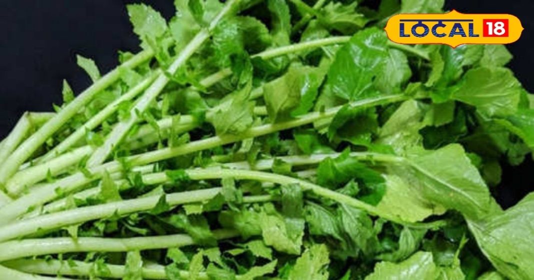 सब्जी से काटकर फेंकने की न करें गलती, दवाई से कम नहीं हैं ये पत्ते, डायबिटीज का काल, मूत्र और लिवर रोग में रामबाण