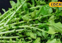 सब्जी से काटकर फेंकने की न करें गलती, दवाई से कम नहीं हैं ये पत्ते, डायबिटीज का काल, मूत्र और लिवर रोग में रामबाण