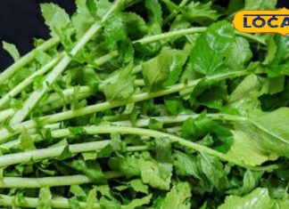 सब्जी से काटकर फेंकने की न करें गलती, दवाई से कम नहीं हैं ये पत्ते, डायबिटीज का काल, मूत्र और लिवर रोग में रामबाण