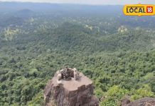 छत्तीसगढ़ के बस्तर के जंगलों में छुपा है दुर्लभ जड़ी बूटियों का खजाना