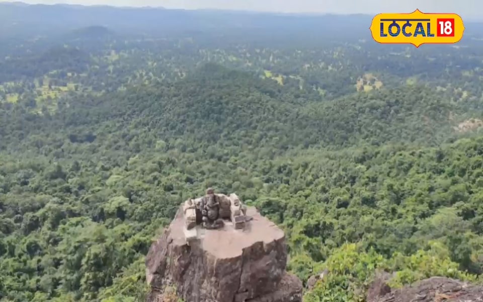 छत्तीसगढ़ के बस्तर के जंगलों में छुपा है दुर्लभ जड़ी बूटियों का खजाना