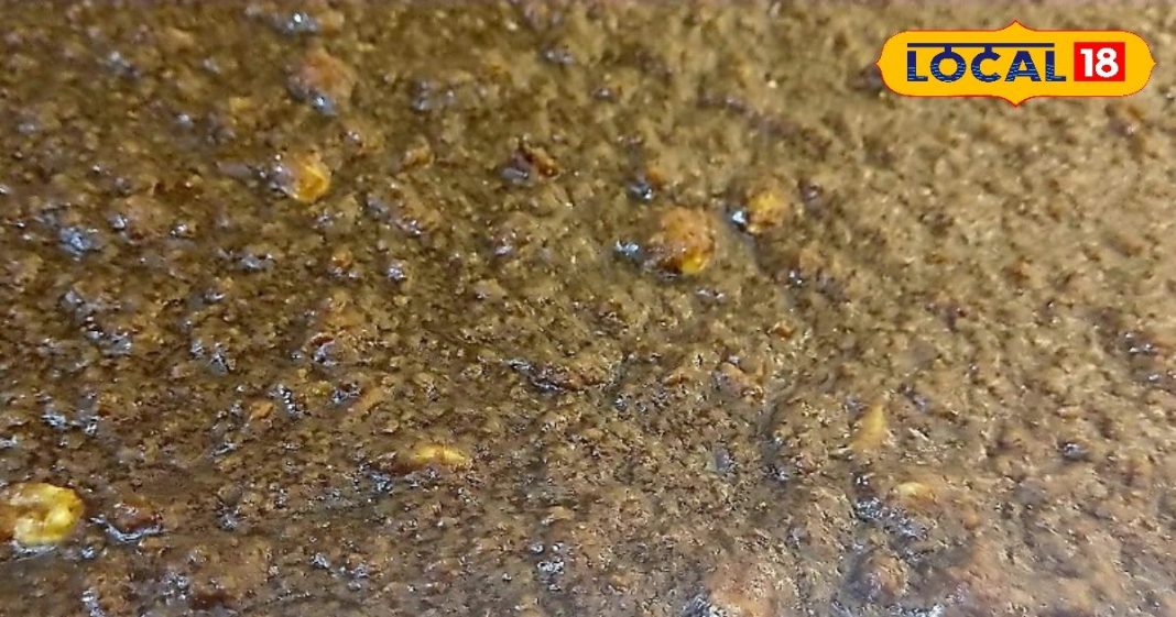 सर्दियों में गाजर नहीं…खाएं इस हरे पौधे से बना हलवा, घुटने हो जाएंगे ताकतवर, नहीं होगा दर्द!