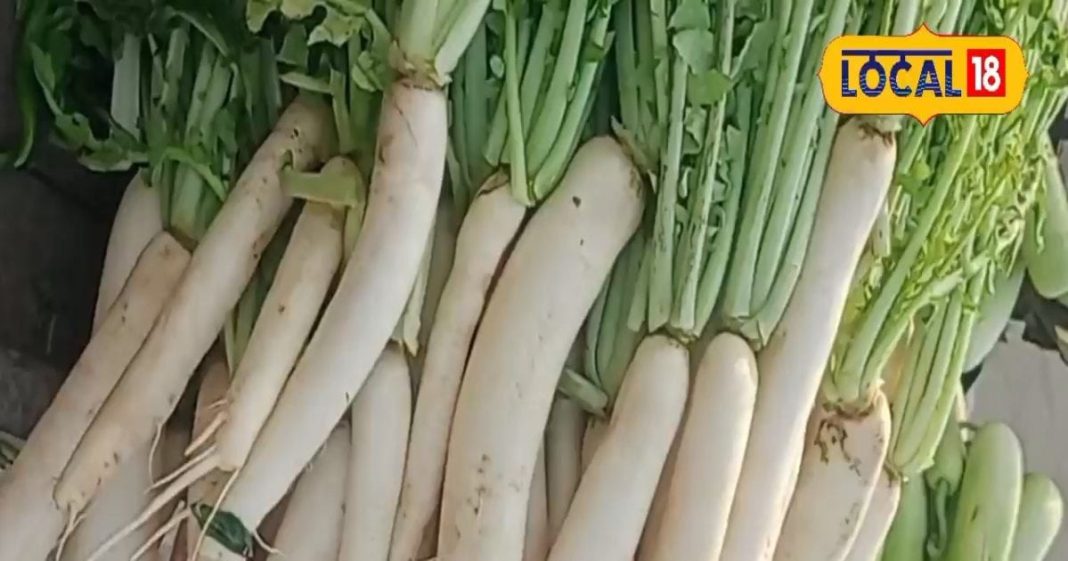 सर्दियों में खाने के साथ शामिल करें ये सब्जी, नहीं होगी पानी की कमी, शुगर करेगी कंट्रोल, जानें और चमत्कारी फायदे