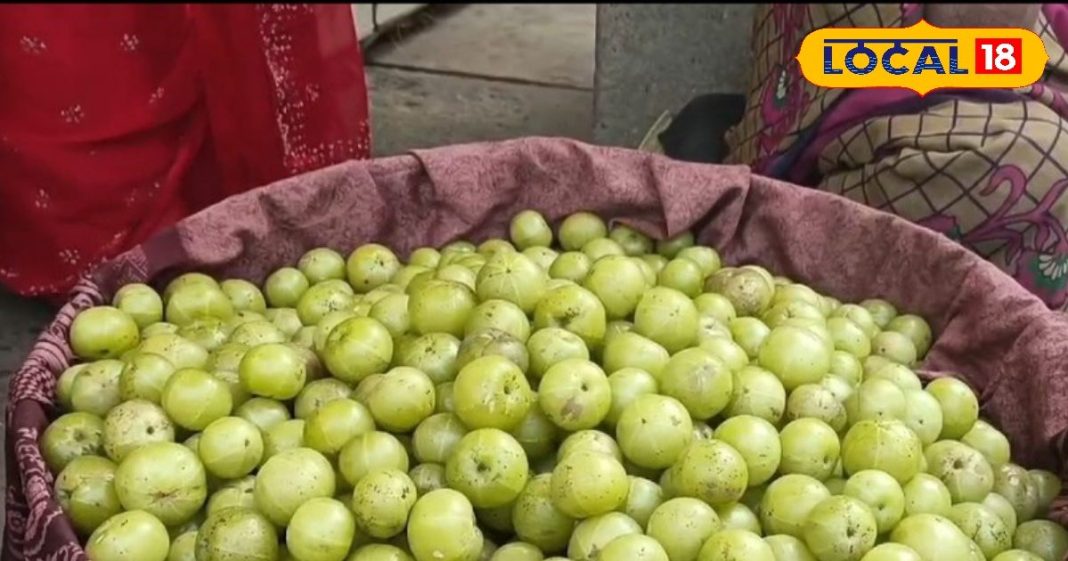 3 महीने मिलता ये फल, अगर खा ली इसकी चटनी…उतार कर फेंक देंगे स्वेटर!