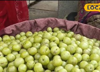 3 महीने मिलता ये फल, अगर खा ली इसकी चटनी…उतार कर फेंक देंगे स्वेटर!