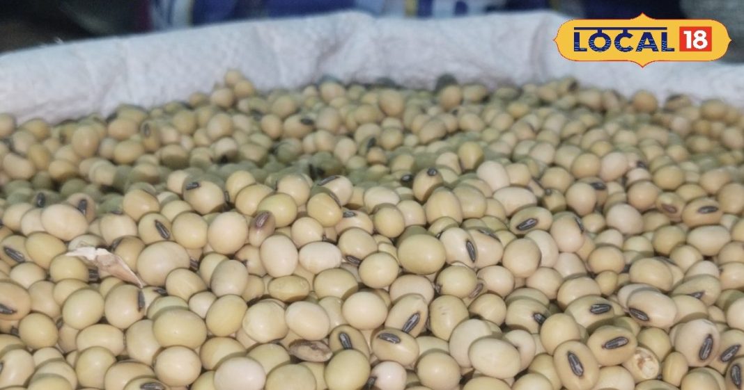 सर्दियों में रामबाण है ये पहाड़ी दाल…डायबिटीज और मोटापा करेगा कंट्रोल, जानें और फायदे