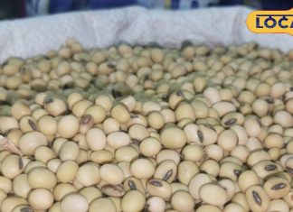 सर्दियों में रामबाण है ये पहाड़ी दाल…डायबिटीज और मोटापा करेगा कंट्रोल, जानें और फायदे