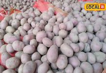 यूपी में यहां होता है खास तरह का आलू, स्वाद के साथ सेहत का भी खजाना, विटामिन का है भंडार