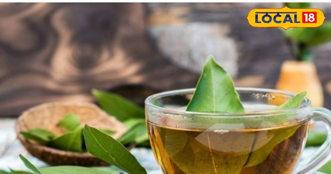 कब्ज, एसिडिटी से लेकर डायबिटीज-कोलेस्ट्रॉल तक, इस पत्ते की चाय करेगी हर बीमारी ठीक! घर पर ऐसे बनाएं