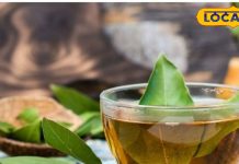 कब्ज, एसिडिटी से लेकर डायबिटीज-कोलेस्ट्रॉल तक, इस पत्ते की चाय करेगी हर बीमारी ठीक! घर पर ऐसे बनाएं