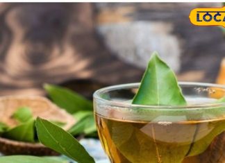 कब्ज, एसिडिटी से लेकर डायबिटीज-कोलेस्ट्रॉल तक, इस पत्ते की चाय करेगी हर बीमारी ठीक! घर पर ऐसे बनाएं