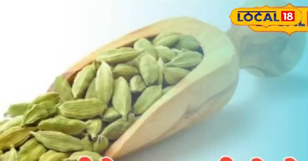 रात में आते हैं बुरे सपने, टूट जाती है नींद..तो इलायची के उपाय से मिलेगी राहत!