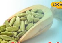 रात में आते हैं बुरे सपने, टूट जाती है नींद..तो इलायची के उपाय से मिलेगी राहत!