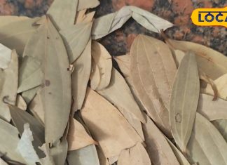 सब्जी में इस्तेमाल ये पत्ता कई बीमारियों के लिए काल! बेचैनी-अनिद्रा से दिलाता है छुटकारा, यहां जानें फायदे