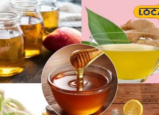 कोलेस्ट्रॉल घटाने और हार्ट अटैक से राहत दिलाने में आता है काम, नींबू-अदरक-लहसुन से होता है तैयार