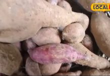 वजन कम करने में कारगर है ठंडी का ये मशहूर फल