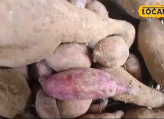 वजन कम करने में कारगर है ठंडी का ये मशहूर फल