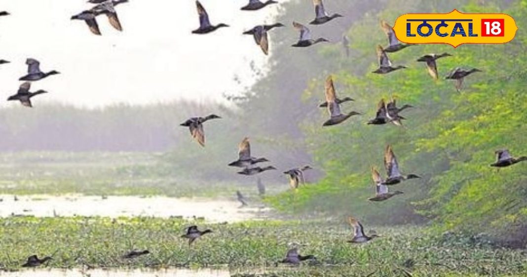 दिल्ली की ये 5 खूबसूरत जगहें मनाली और कश्मीर से कम नहीं, यहां की झीलें कराती हैं स्वर्ग का एहसास – Bharat.one हिंदी