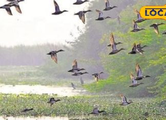 दिल्ली की ये 5 खूबसूरत जगहें मनाली और कश्मीर से कम नहीं, यहां की झीलें कराती हैं स्वर्ग का एहसास – Bharat.one हिंदी