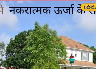 Vastu Tips: अगर मिल रहे ये 5 संकेत तो घर में नकारात्मक शक्ति का वास! देर हो जाए..इसके पहले करें ये उपाय