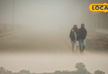 हवा में बढ़ता प्रदूषण श्वास रोगियों के लिए जानलेवा, कई बीमारियों का खतरा, जानें कैसे करें बचाव