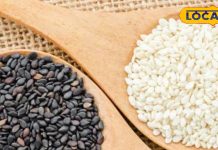 सर्दियों में रामबाण है तिल… पेट, हार्ट से लेकर त्वचा तक रखे ठीक, बस जान लें सेवन का सही तरीका