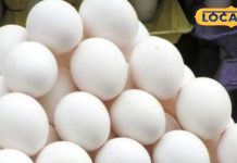 Egg Prices rise: सर्दी बढ़ते ही अंडे की बढ़ी खपत, कीमत में भी आई उछाल, जानें क्या चल रहा रेट