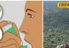 Natural cure for asthma hidden in the forests of bastar local vaidyas provide free treatmen