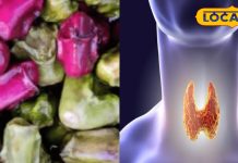 दादी-नानी का घरेलू नुस्खा! तालाब से निकला यह फल रामबाण से कम नहीं, थायराइड और गले की बीमारी भी हो जाती है छूमंतर