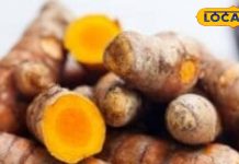 कई बीमारियों से राहत दिलाने में कारगर है कच्ची हल्दी, जानें सेवन का तरीका