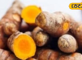 कई बीमारियों से राहत दिलाने में कारगर है कच्ची हल्दी, जानें सेवन का तरीका