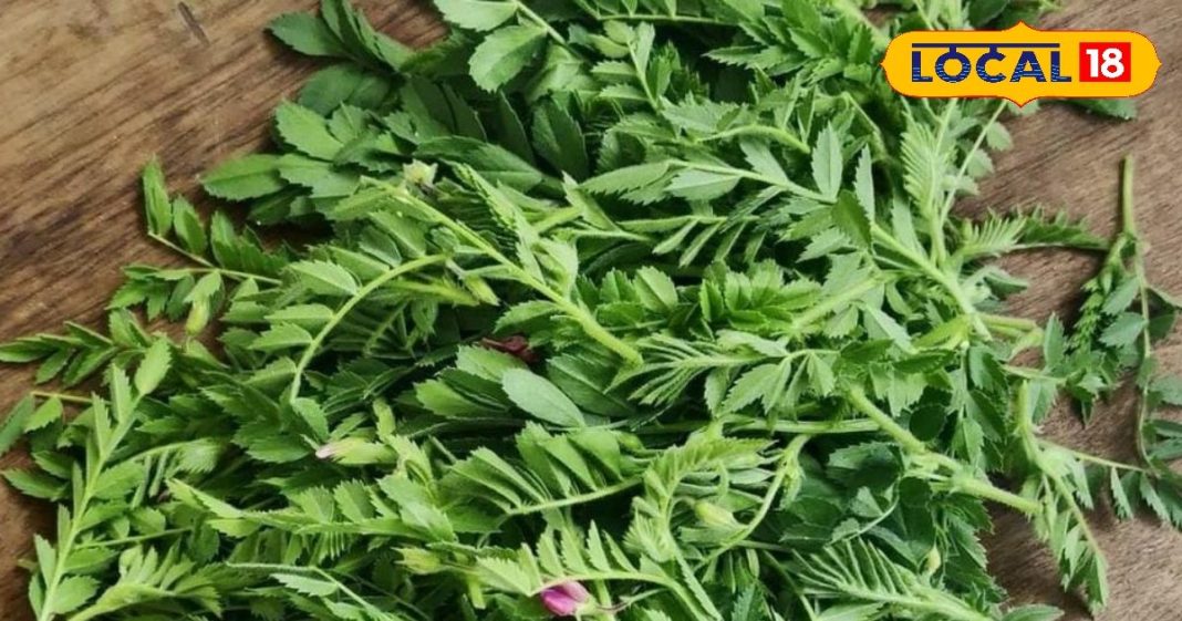 सर्दियों में कुछ दिन मिलती है यह पत्तेदार सब्जी, इम्यूनिटी बढ़ाने के साथ शुगर को रखती है कंट्रोल, जानें और फायदे