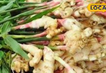 क्या आप जानते हैं अदरक चमत्कारी फायदे? सुबह इस तरह करें उपयोग, शरीर की गंदगी होगी साफ, जोड़ों के दर्द में कारगर