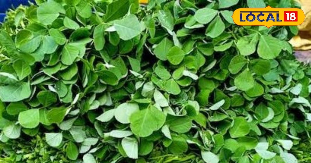 methee saag ke phaayade Fenugreek greens vegetable is miraculous medicine for diabetes patients and many diseases – Bharat.one हिंदी