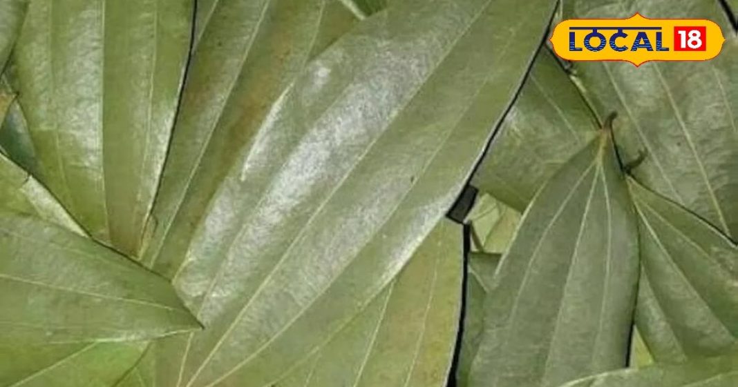 औषणीय गुणों से भरपूर है यह किचन मसाला, शुगर लेवल को करता है कंट्रोल