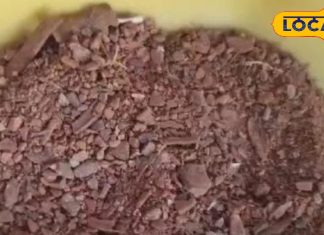 Cinnamon is full of Medicinal Properties preventing the growth of cancer cells keeps blood pressure under control – Bharat.one हिंदी