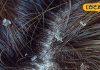 Eliminate dandruff in pinch with this Ayurvedic formula in winter – Bharat.one हिंदी