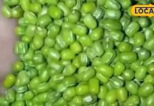 सर्दियों में इस दाल को खाने के हैं अनगिनत फायदे, कब्ज की समस्याओं से मिलता है आराम