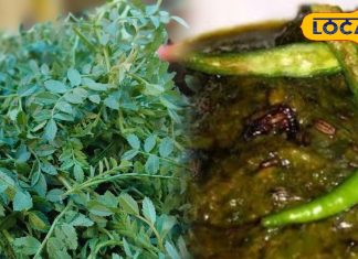 सर्दियों में सुपर फूड से कम नहीं है यह साग प्रोटीन और इम्यूनिटी से है भरपूर