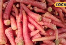 रोज 1 गाजर खाकर तो देखो…कब्ज-कोलेस्ट्रॉल सारी बीमारी हो जाएगी गायब! डॉक्टर ने बताए सीक्रेट