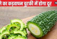 कड़वे स्वाद के कारण नहीं खाते करेला, काटने के बाद डाल दें ये 3 चीजें, दूर हो जाएगी कड़वाहट