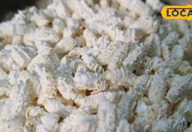 लक्ष्मी जी का फेवरेट और इंसानों के लिए औषधि, एक्सपर्ट से जानिए अन्य फायदे