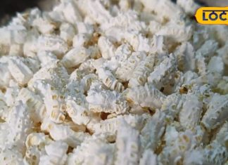 लक्ष्मी जी का फेवरेट और इंसानों के लिए औषधि, एक्सपर्ट से जानिए अन्य फायदे