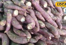 सर्दियों में उबालकर खाई जाती है ये सब्जी, आंख और शुगर के लिए फायदेमंद – Bharat.one हिंदी