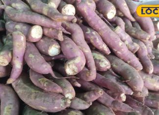 सर्दियों में उबालकर खाई जाती है ये सब्जी, आंख और शुगर के लिए फायदेमंद – Bharat.one हिंदी