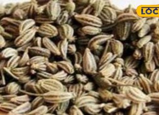 इस तरह करें अजवाइन का उपयोग, किडनी को साफ रखकर इंफेक्शन करता है दूर – Bharat.one हिंदी